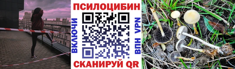 ссылка на мегу зеркало  Спас-Деменск  Галлюциногенные грибы прущие грибы  наркота 
