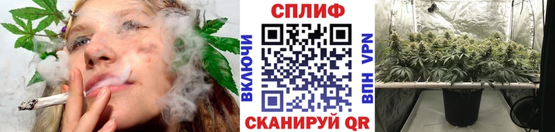 Бошки марихуана MAZAR  купить наркоту  Спас-Деменск 